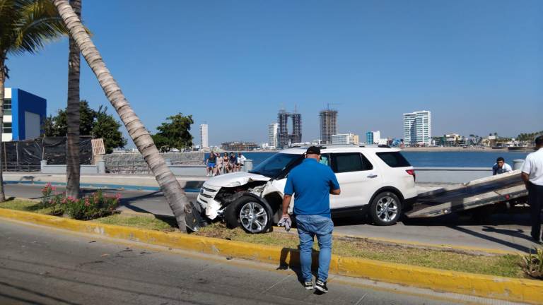 Choca camioneta con palmera en el Paseo Claussen, en Mazatlán