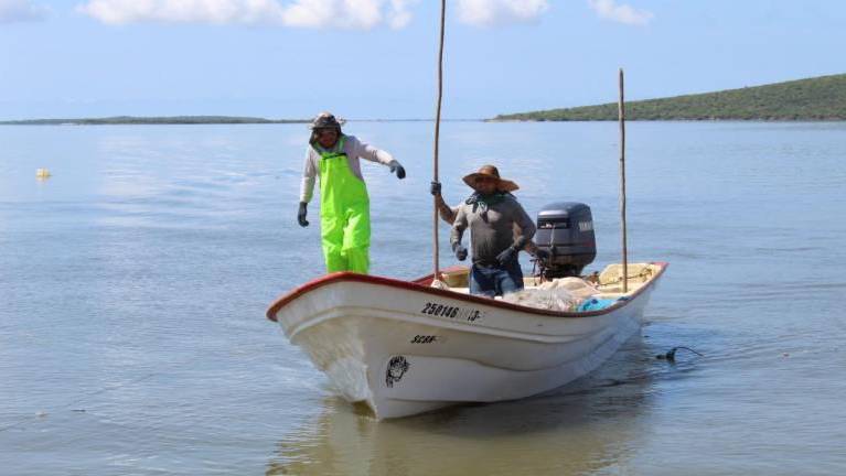 El taller contempló contenidos para abordar coberturas en materia de pesca, acuicultura, medio ambiente y el aspecto social en regiones pesqueras.