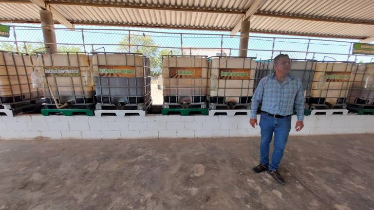 Apuestan por una producción agrícola sana, sustentable y barata