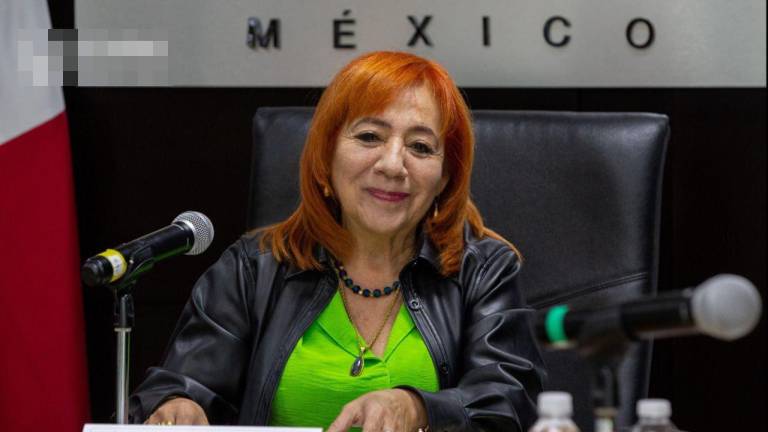 María del Rosario Piedra Ibarra es presidenta de la CNDH desde el 12 de noviembre de 2019 y se registró para un próximo periodo.