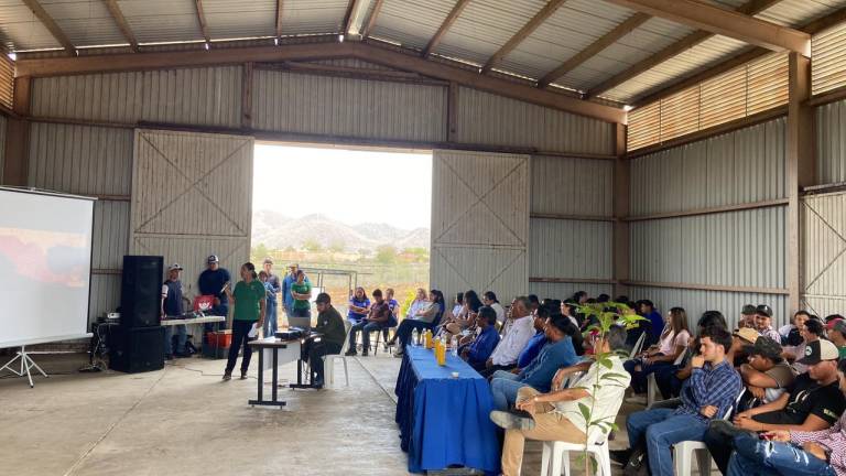 La carrera de Técnico Superior Universitario en Fruticultura de la UAS organiza el evento.