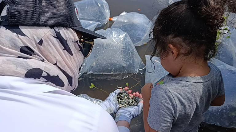 Los niños tomaron parte de la dinámica para que aprendan a respetar el proceso de reproducción de los peces.