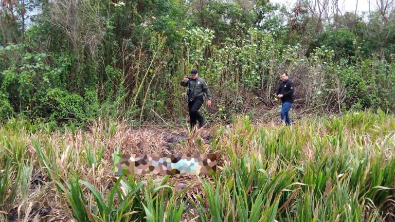 En una parcela en Costa Rica localizaron el cuerpo de un hombre; se desconocen las causas de la muerte.