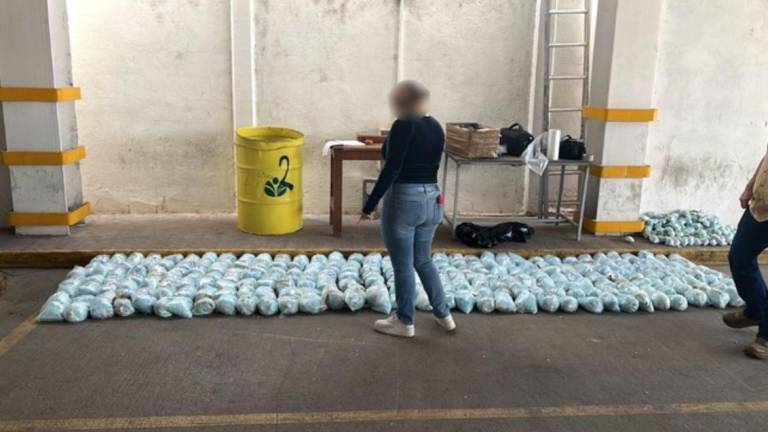 En México las autoridades han logrado decomisos de cargamentos de fentanilo.
