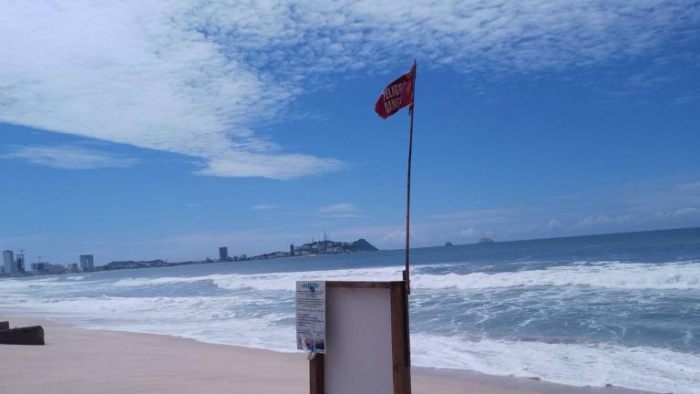 Recomiendan a los bañistas conocer la situación del área de playa antes de ingresar al mar.