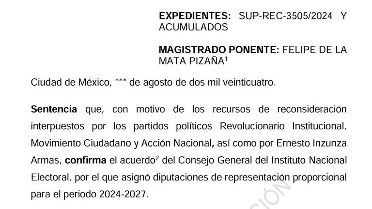 Proyecto que se presentará en el Tribunal Electoral del Poder Judicial de la Federación.