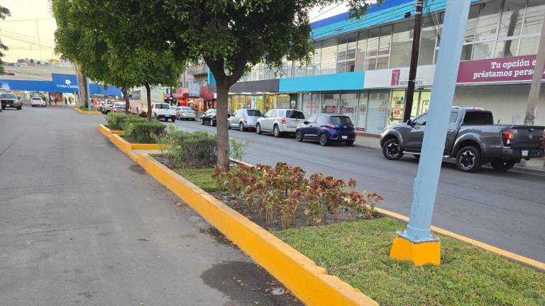 Un tramo de la Avenida Juan Carrasco es remozado.