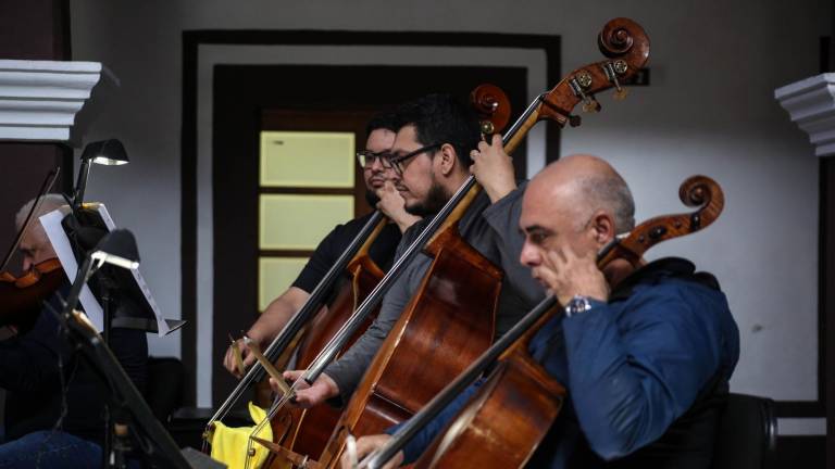 Las agrupaciones de cámara de la OSSLA ensaya para los conciertos.gfzq345vc