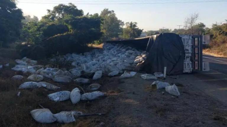 El tráiler quedó volcado a un costado del acotamiento.