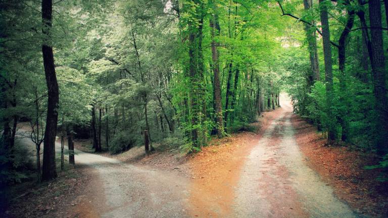 ¿Qué camino tomar?