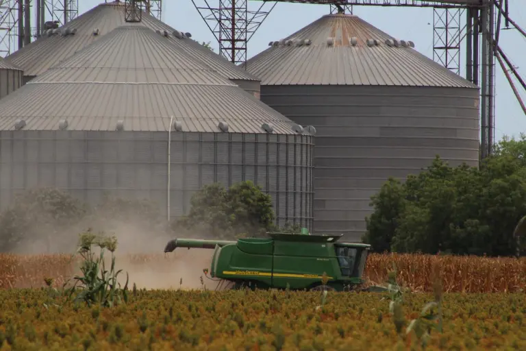 Región centro-norte aporta el 31.6% de la producción agrícola de Sinaloa: Codesin