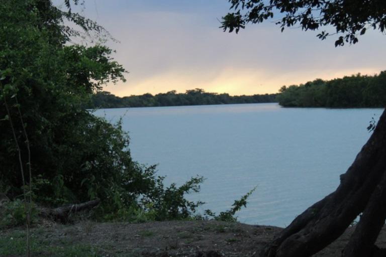 $!La Papalota es una reserva de 368 ha rica en manglares y en biodiversidad. Es la primera Área Destinada Voluntariamente a la Conservación privada en México, creada en 2008.