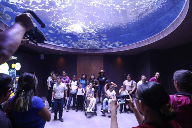 Sumergen a niños del CAM a las maravillas del Gran Acuario Mazatlán