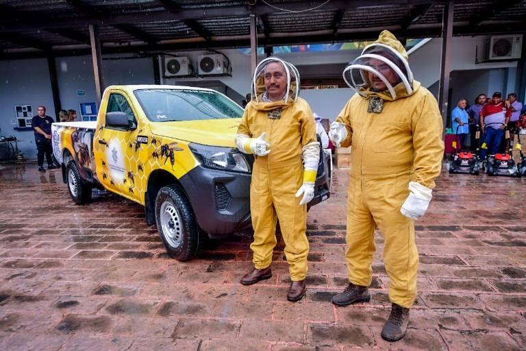 Más de 20 millones de abejas y avispas se han rescatado en Mazatlán, reporta Ecología