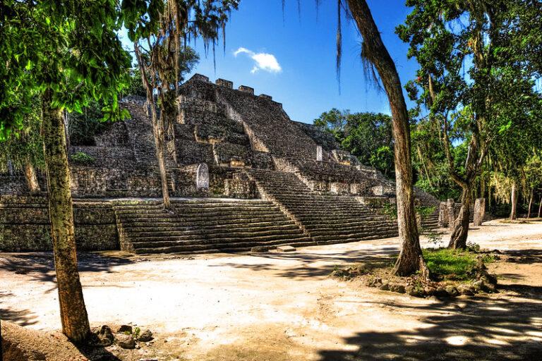 $!Construcción de hotel como parte del proyecto Tren Maya avanza sin permiso en una reserva forestal