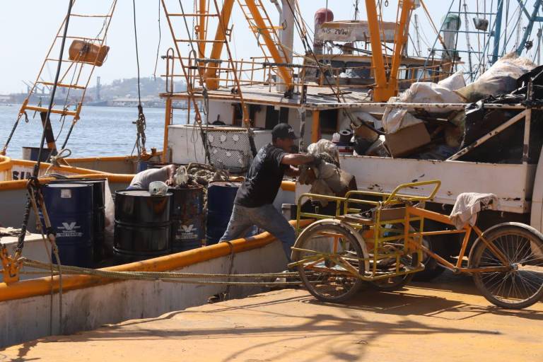 Confían pescadores de Mazatlán que capturas de camarón mejoren