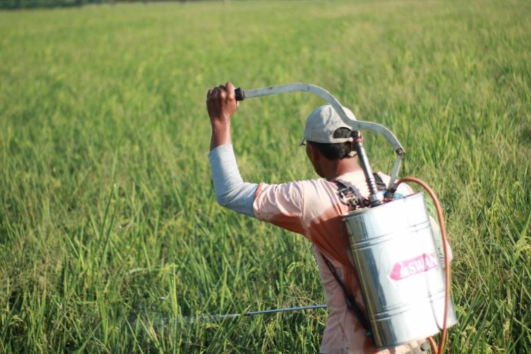 Sin monocultivos ni plaguicidas: campesinos trabajan con alternativas a los daños agroindustriales