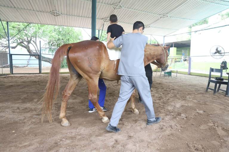 Lanza Padres y Compadres convocatoria para entrega de sillas de ruedas pediátricas