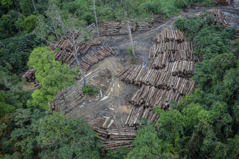 $!Deforestación en la Amazonía Brasileña.