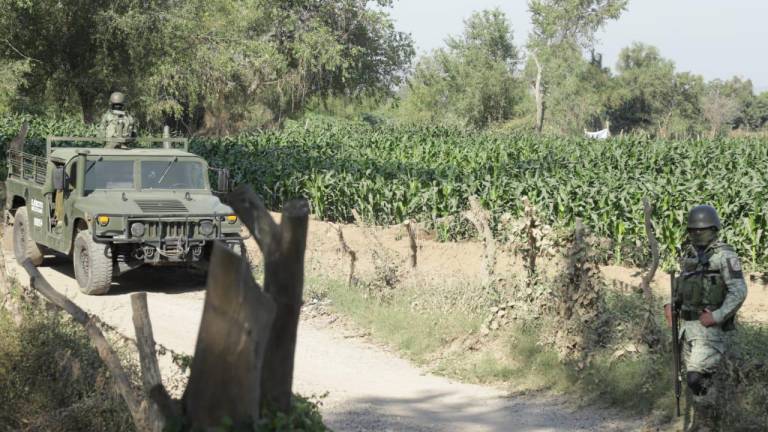 Dejan cuatro hombres asesinados a orillas de una milpa en El Walamo