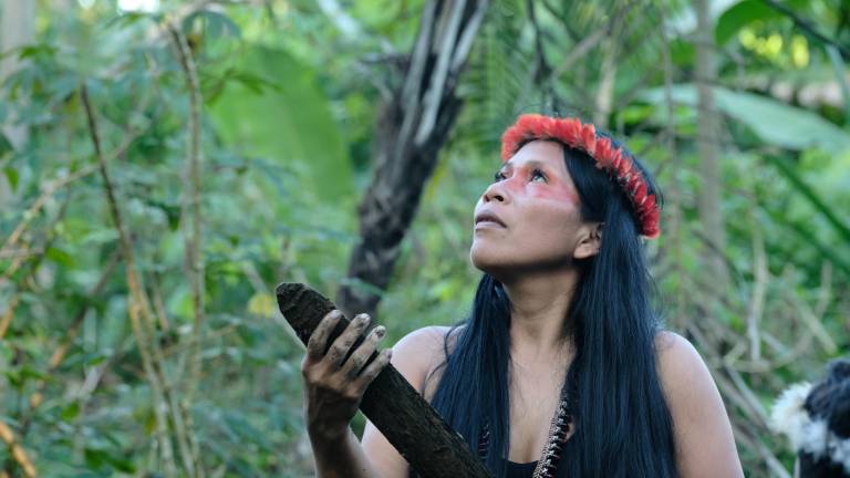 Nemonte Nenquimo en uno de los jardines forestales de su familia cerca del pueblo de Nemonpare, en la Amazonía ecuatoriana.