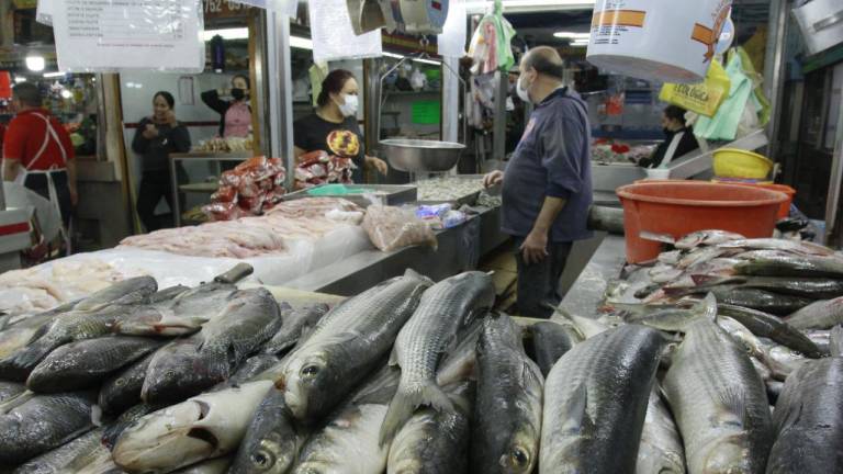 Coepriss realiza visitas de inspección en establecimientos de venta de mariscos y zonas pesqueras.