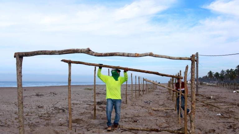 Más de un 60 por ciento tiene la construcción de las enramadas para la Fiesta del Mar de las Cabras.