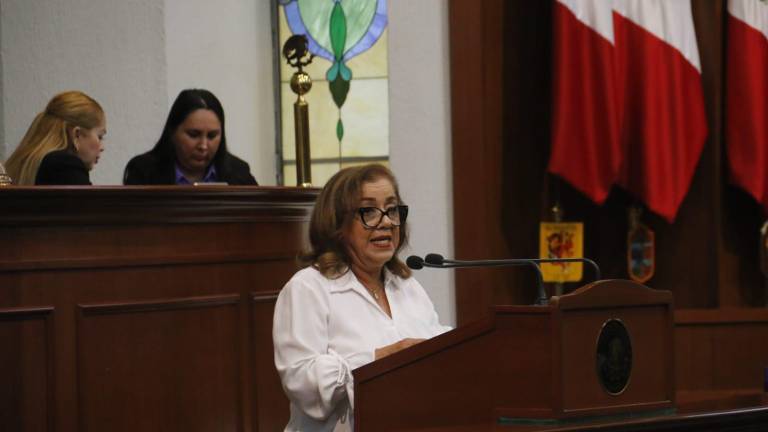 Alba Virgen Montes señaló que en el PAS advirtieron la necesidad de reglar y disminuir el apoyo público que reciben los partidos.