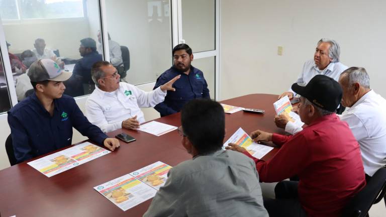 La UTEsc y agricultores colaboran en los preparativos para el Congreso Nacional del Mango 2024.