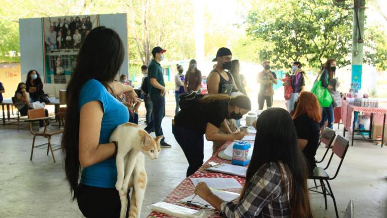 Realizan campaña de esterilización de gatos en Infonavit Humaya en Culiacán