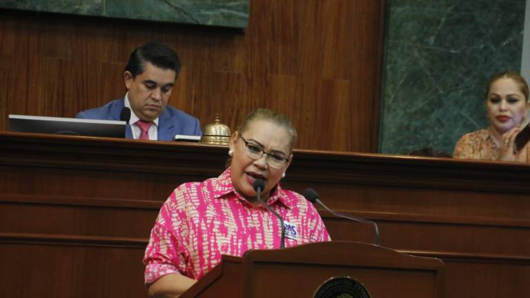 Norma Alicia Soto Montoya dice que el reforzamiento de seguridad aunque no es establecido como una obligación, sí es un requerimiento urgente para los hospitales.