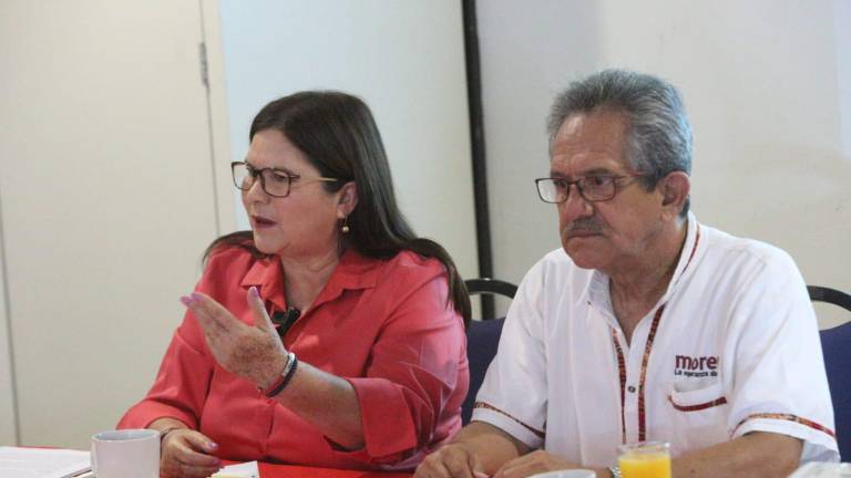 Imelda Castro considera que deben nombrar comisionado para que INAI sesione