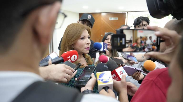 La Diputada local Gloria Himelda Félix Niebla habla sobre la protesta contra la reforma judicial.