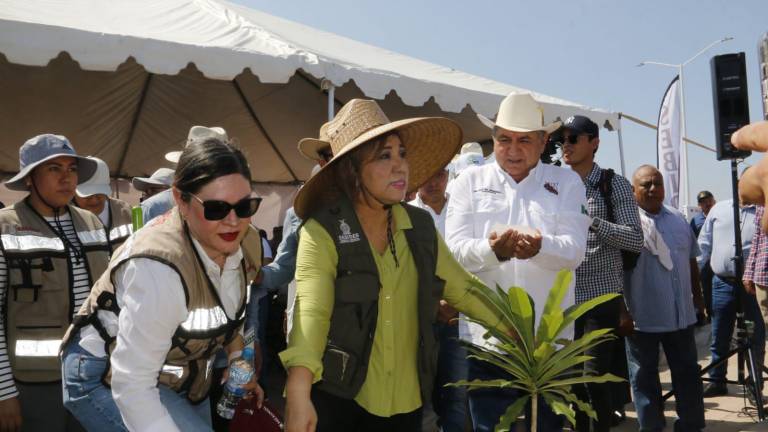 Arranque de la campaña de arborización en Sinaloa.