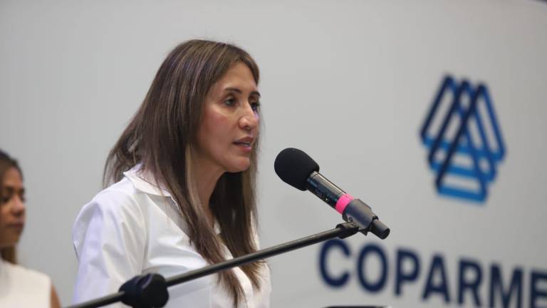 Yudith Verónica Estrada Osuna, presidenta de Coparmex en Mazatlán, habla de la vigilancia en carreteras que fue solicitada.