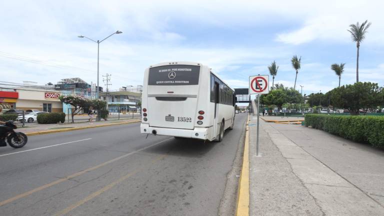 Los usuarios se han quejado de que se quedan en las paradas de camiones porque estos no se detienen.