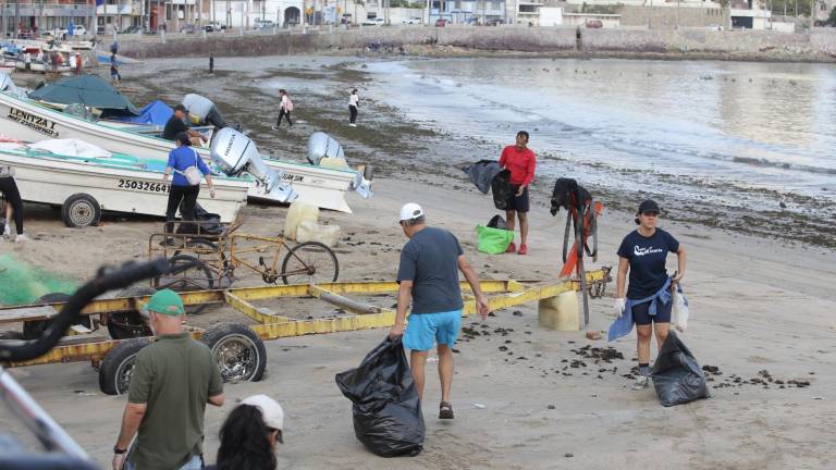 Los participantes se dispersaron en diversas playas de Mazatlán para realizar la limpieza.