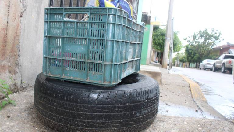 Acciones de descacharrización en Rosario.