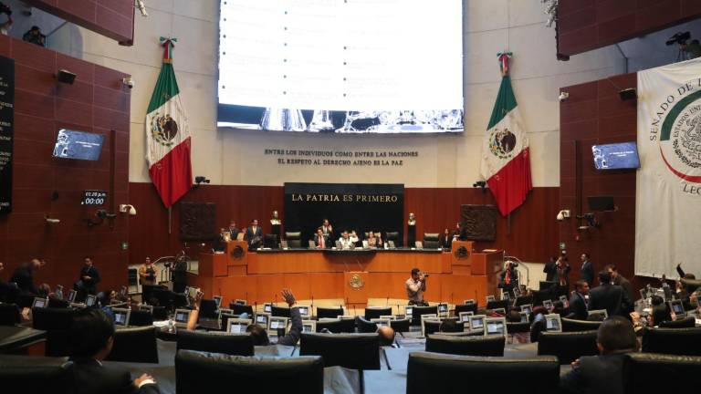 Buscan hacer valer las normas constitucionales que limitan la sobrerrepresentación en la Cámara de Diputados.