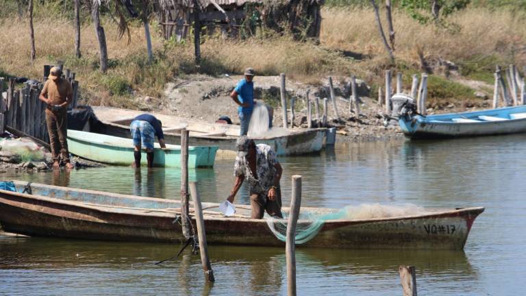 Cooperativas arrastran deudas millonarias, advierte federación pesquera en Rosario