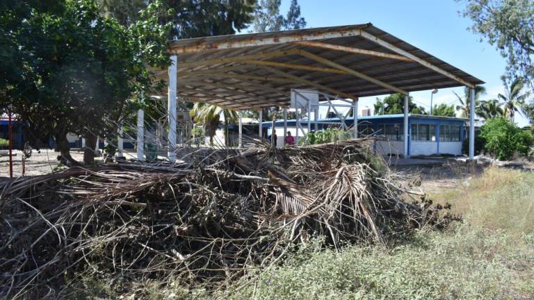 Escuelas de Navolato fueron limpiadas este martes con apoyo de maestros y padres de familia.