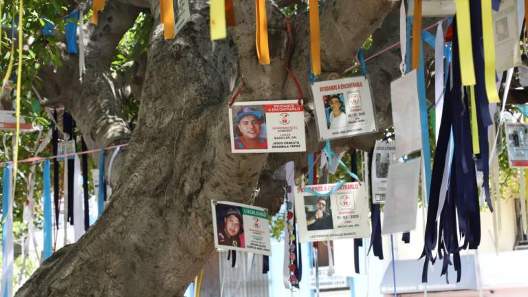 El “Santuario para todos los desaparecidos” en la Plazuela Zaragoza, inaugurado en mayo de 2022, ofrece un espacio para que las familias de personas desaparecidas puedan rezar y dejar flores.