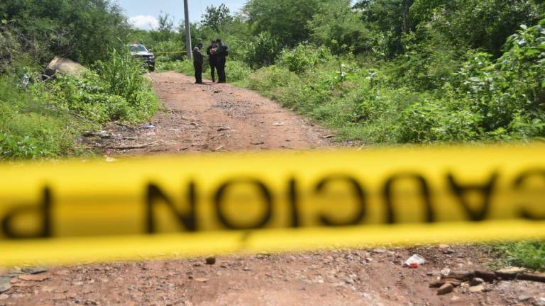 Van mil 34 asesinatos en 13 días del sexenio de Sheinbaum, 21% más que en octubre pasado con AMLO