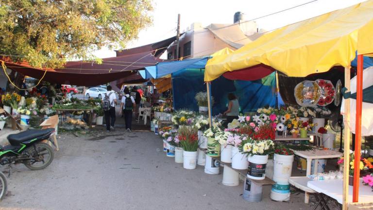 Los comerciantes locales se ven afectados en sus ventas por los permisos a foráneos.