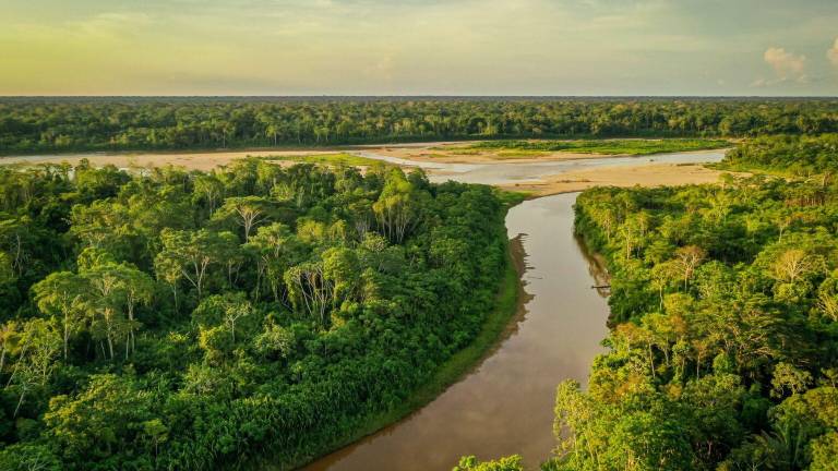 COP16: Proteger el 30% del planeta no es solo un tema de cantidad sino de calidad