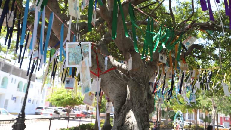 Familias en Mazatlán mantienen la fe de encontrar a sus desaparecidos