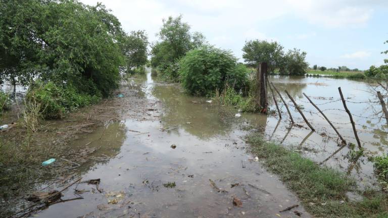 Édgar González Zataráin señaló que personal de Protección Civil mantiene bajo control la situación por la crecida del Río Presidio.