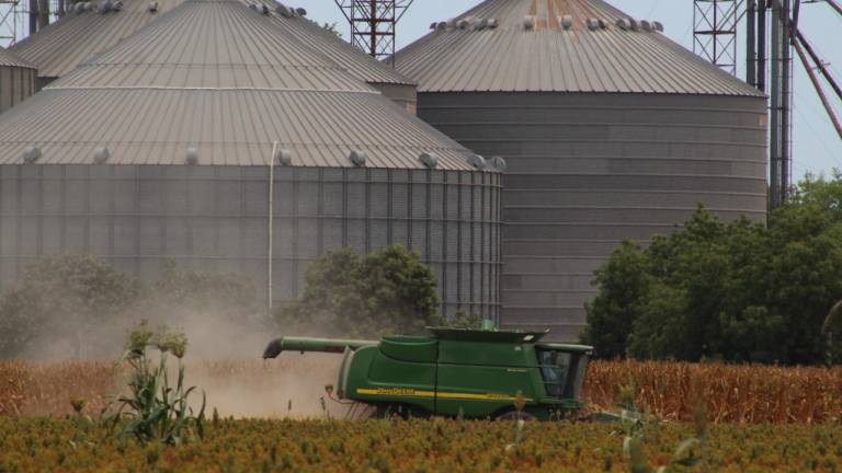 Guasave, Sinaloa, Salvador Alvarado, Angostura y Mocorito son los municipios que destacan como la segunda zona mayor productora en la agricultura.