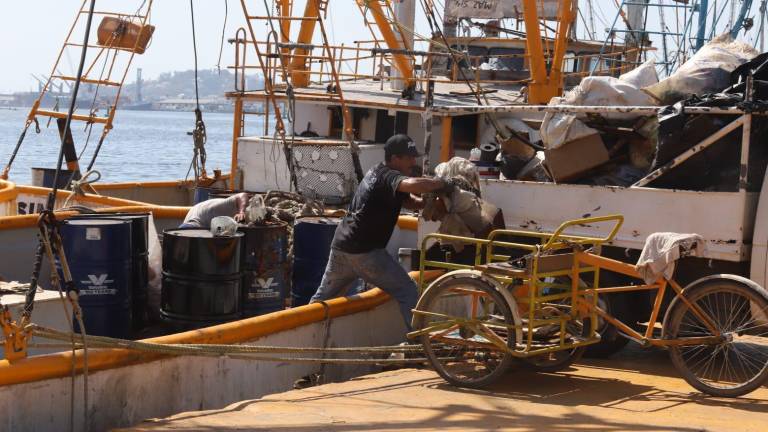 Confían pescadores de Mazatlán que capturas de camarón mejoren