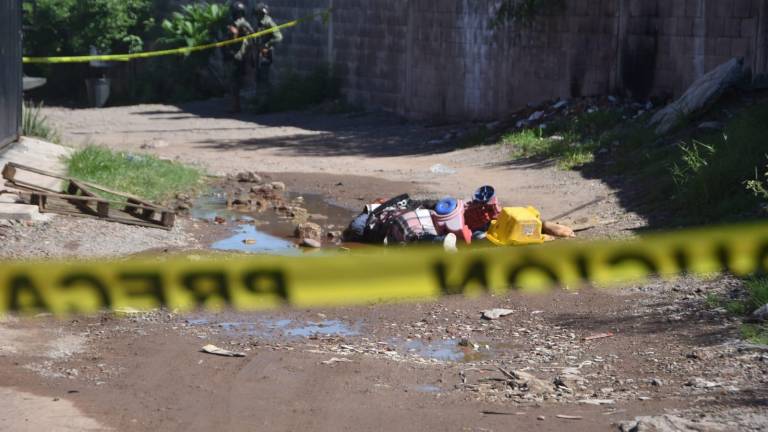 Este martes se localizaron 4 personas asesinadas y hasta un tigre suelto.